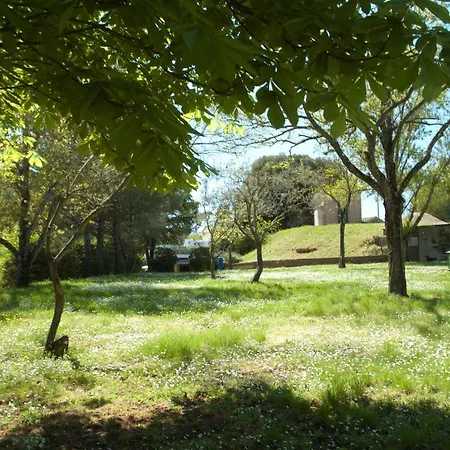 Campingplads Camping Le Balze Volterra